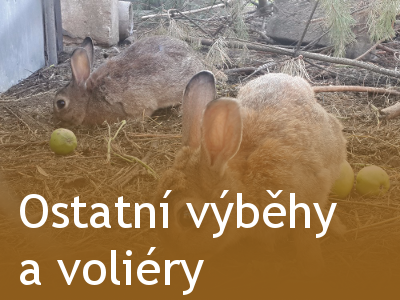 Ostatní